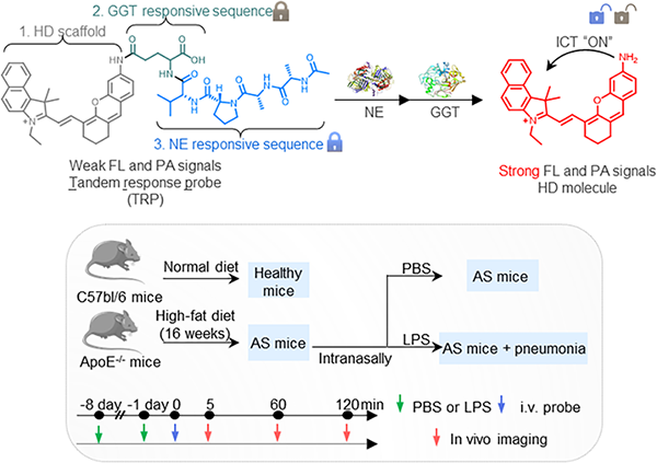 微信图片_2026-01-22_133705_317