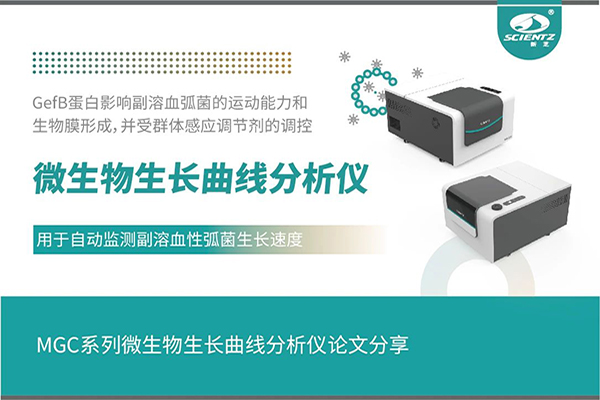 论文分享｜群体感应调控GefB蛋白抑制副溶血性弧菌运动及生物膜形成机制解析