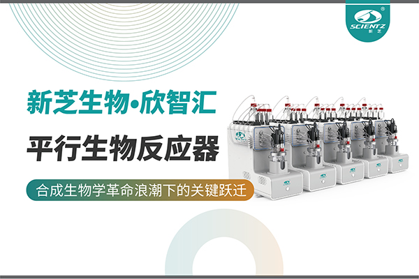 培养菌株和评估工艺参数影响太难太慢？平行生物反应器提供关键解决方案！
