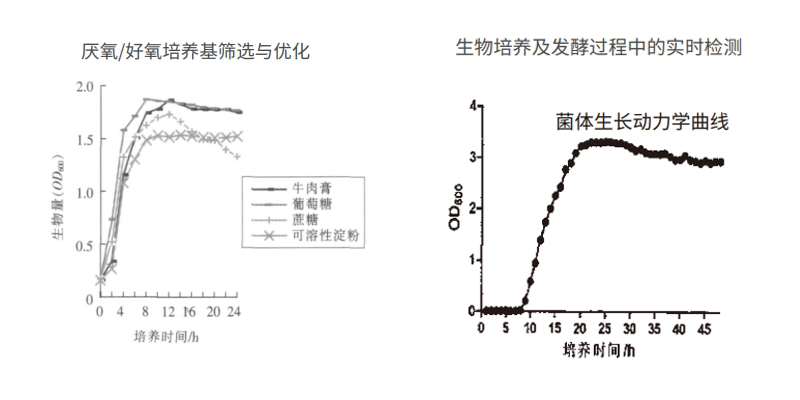 过程安全，结果精准